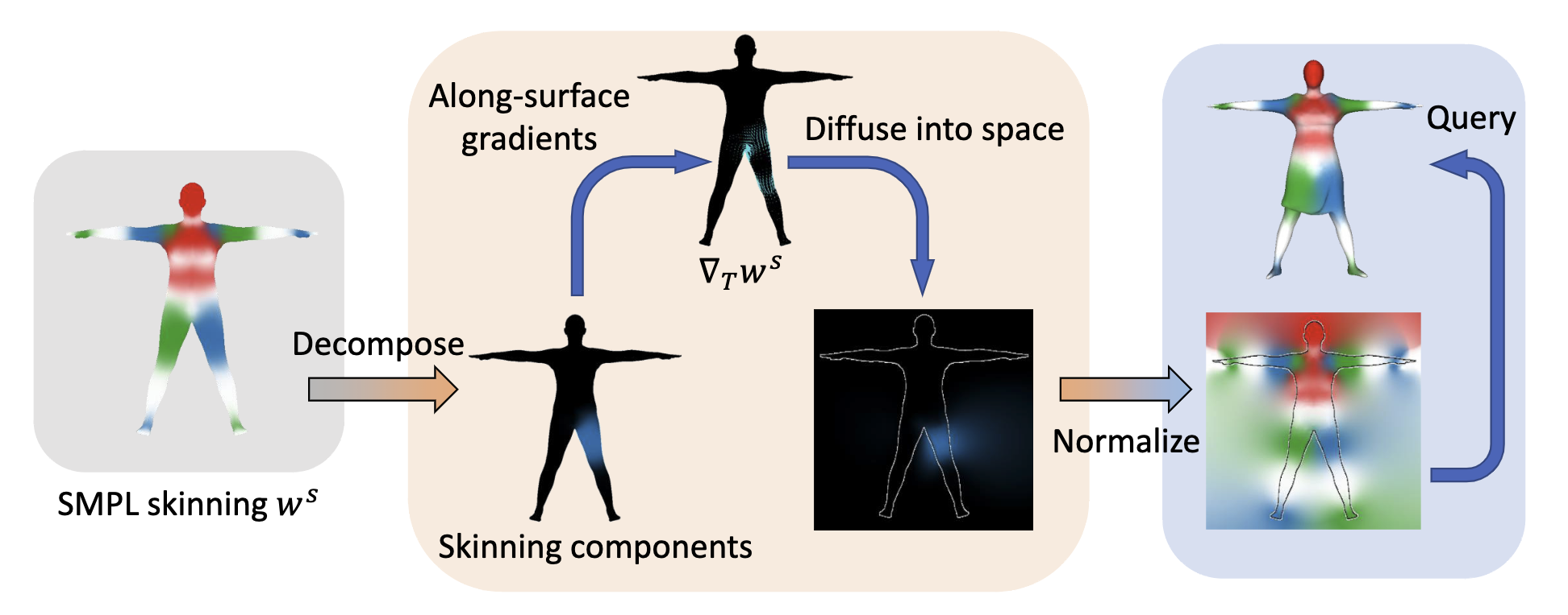 Fig. 3: Diffused skinning visualized. Each component of the skinning weights on SMPL is diffused independently and re-normalized to form a skinning field.