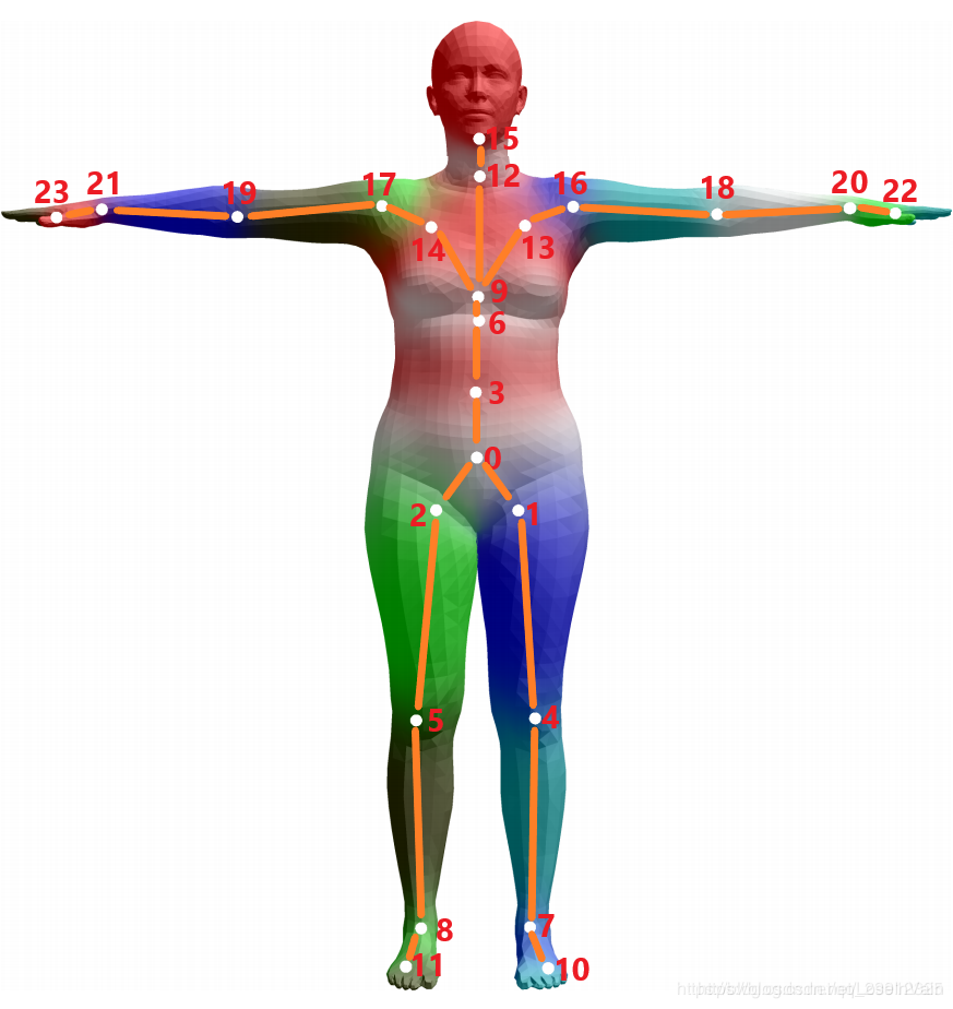 Fig. 3: 平均模板的 mesh，混合权重用颜色表示，关节用白点表示
