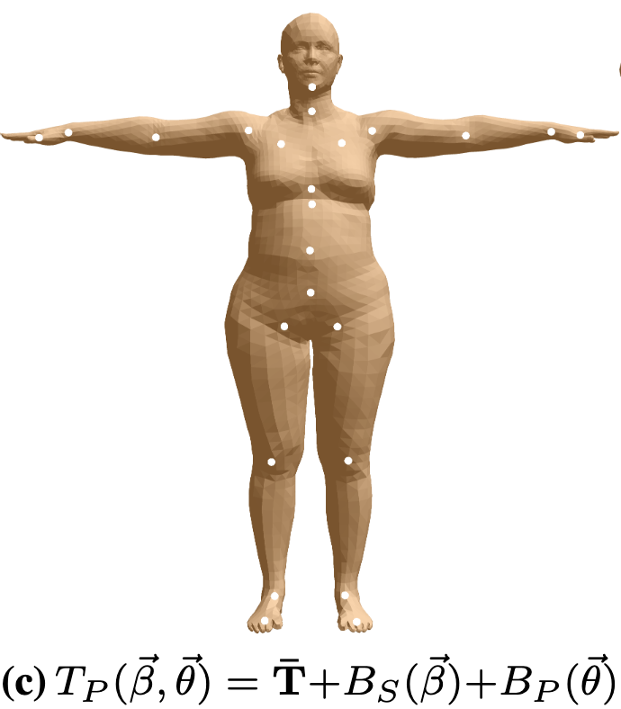 Fig. 5: 姿态对 T-pose 下的 shape 的影响